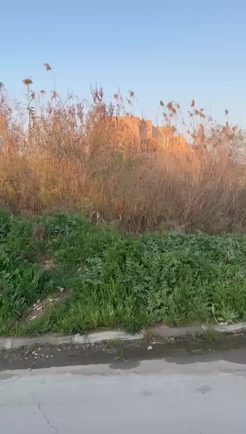 أرض للبيع جمعية العدل حي المزارع الثانيه المساحة 275 متر واجهة 13 * 21 امكانية بيعها كاملة او نصف قطعة للإستفسار اكثر مراجعة المكتب او الاتصال على الرقم 

***********
