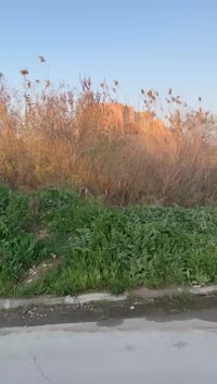 جمعية العدل • ٢٧٥م • واجهة ١٣×٢١