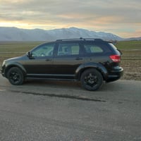 جيرني • ٢٠١٠ • رانية