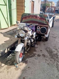 ستوته • ٢٠١٩ • اوراق اصولي