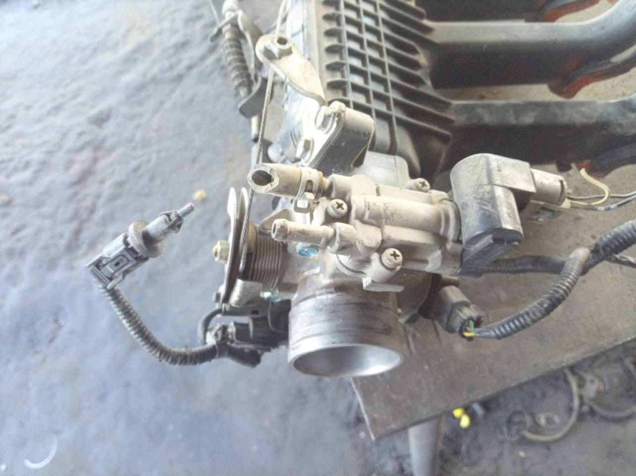 للبيع دكشن بارد بي وايدي مع الجويتر مامشدود حاويه المكان كربلاء ***********
