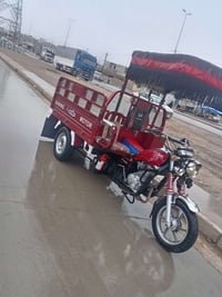 ستوته • موديل 23 • كله شرط