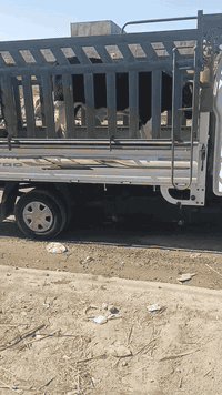 ‏‪***********‬‏تفاصيل اكثر داخل الفيديو سياره جاهزه
