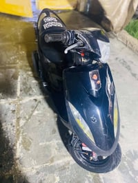 ماكس • كوت طشاش