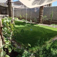 كربلاء طريق بغداد • ٥٠٠م • طابو زراعي