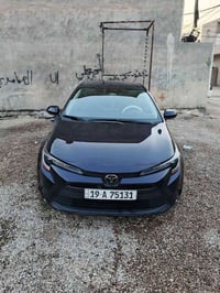 كورلا • ٢٠٢٤ • كربلاء