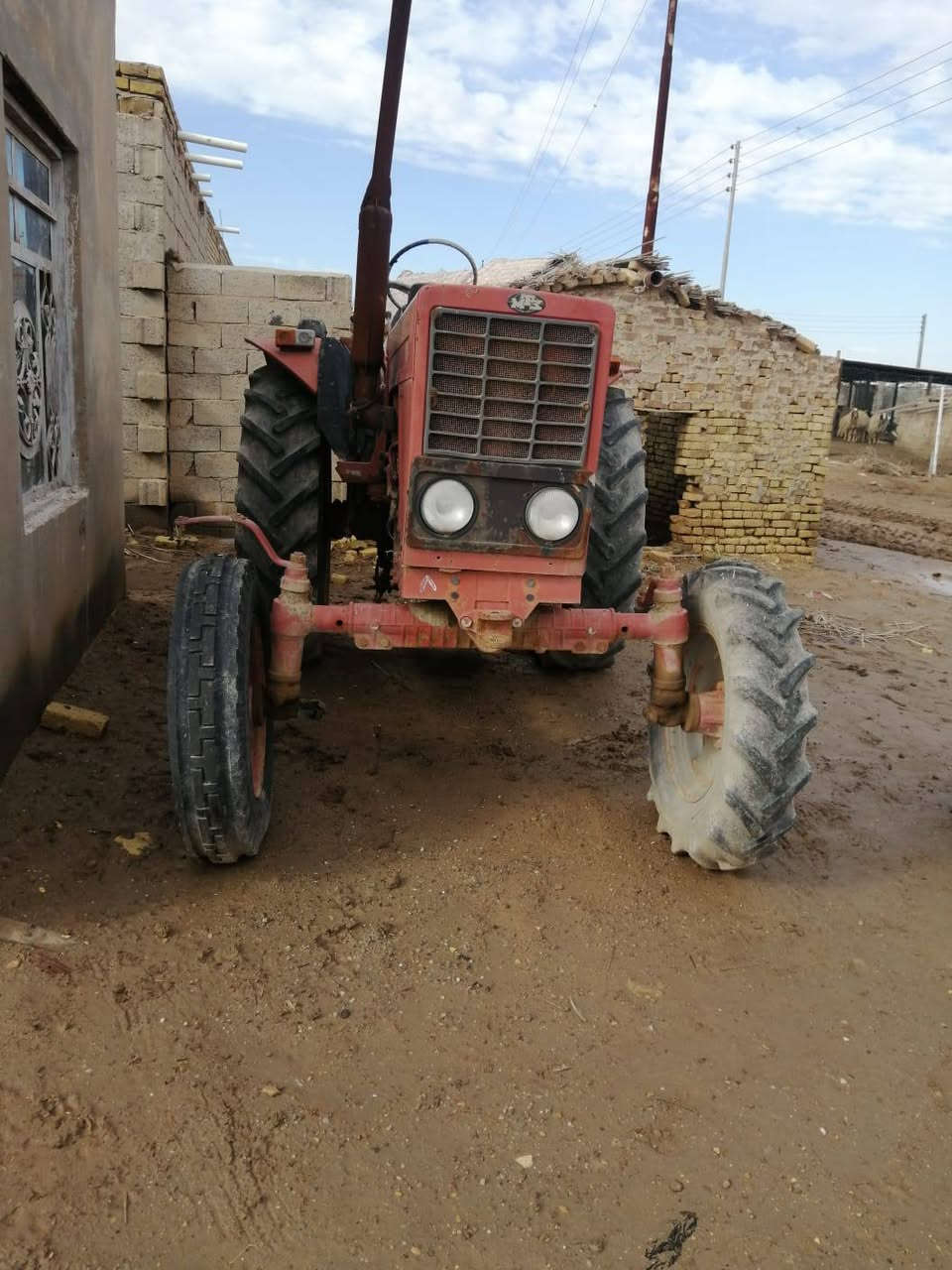 السلام عليكم مكينة بلاروس للبيع عنوان ميسان ناحية سيد احمد الرفاعي بدون ارقام بلاظافة دست وخرماشة وباذرة
للاستفسار الاتصال ‏‪***********‬‏
