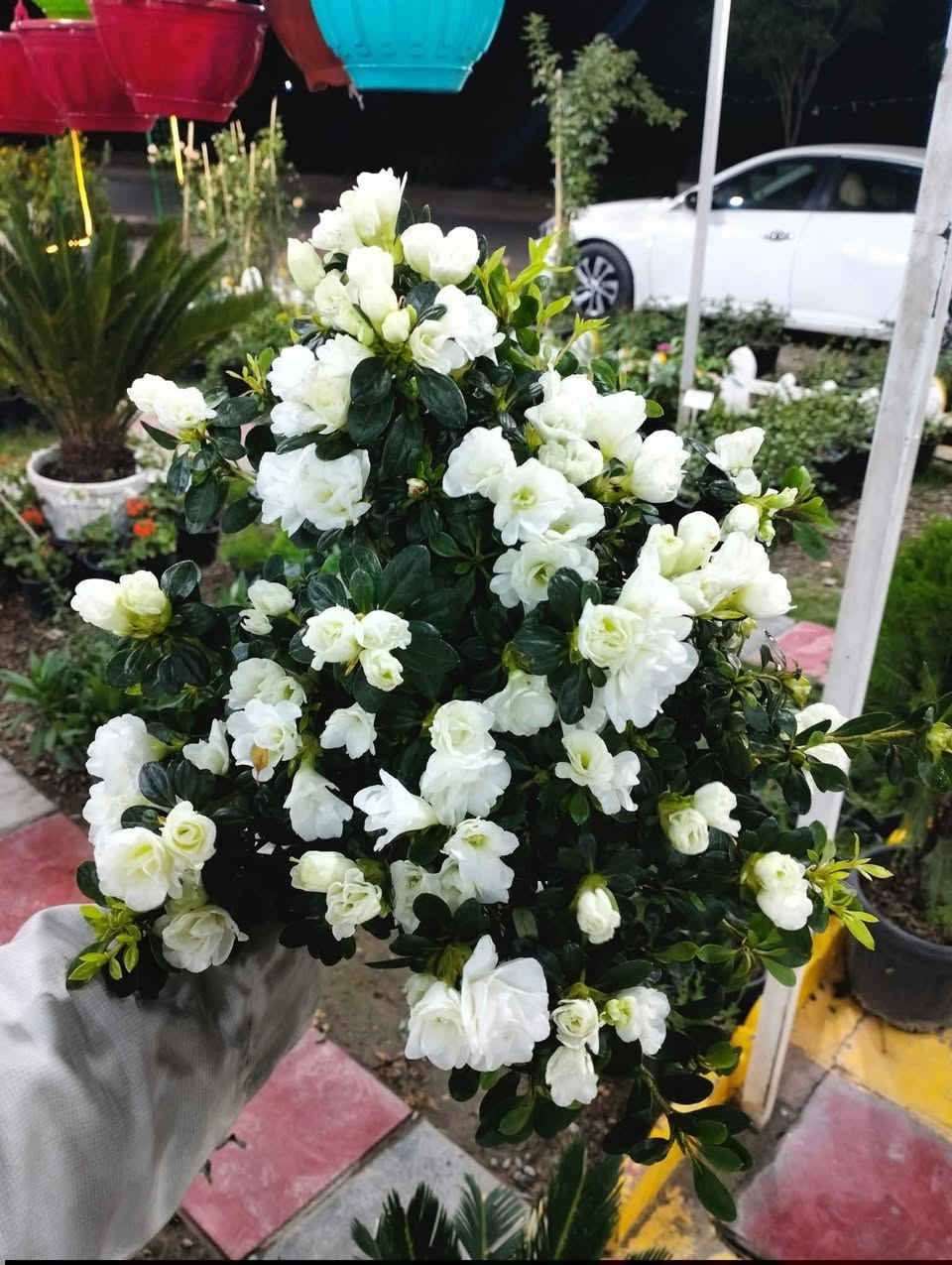 ازاليا دائمي 
لطلب والاستفسار مراسلة الصفحه يوجد خدمة توصيل خانقين جلولاء سعديه


**إذا كنت صاحب هذا الإعلان وتريد حذفه لأي سبب، رجاءا أرسل رسالة إلى الدعم الفني**