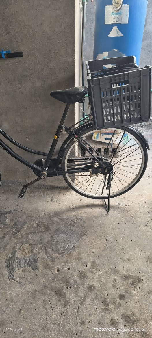 باسكل للبيع الحجم 26 السعر 75 كربلاء تصال ع الرقم ***********
