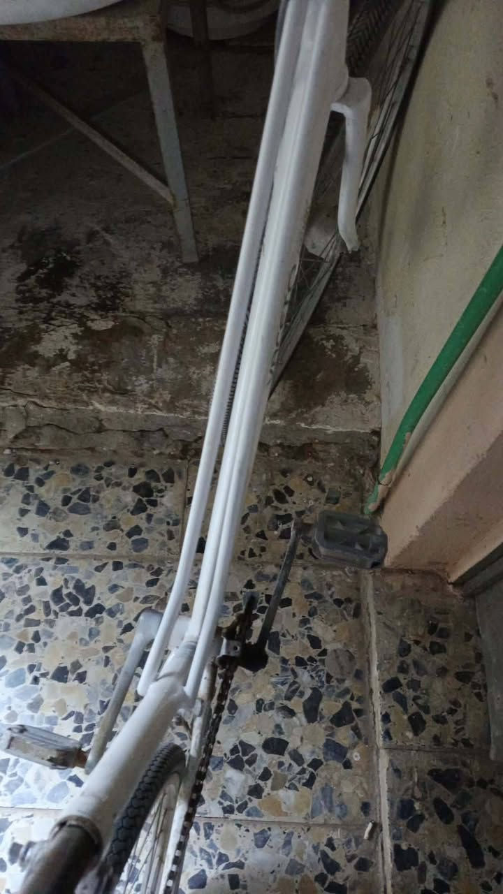 سلام عليكم بايسكل لبيع اب ٥٠ وبي مجال جوابه جدد او بريكات جدد بس جاملاغت مابي


**إذا كنت صاحب هذا الإعلان وتريد حذفه لأي سبب، رجاءا أرسل رسالة إلى الدعم الفني**