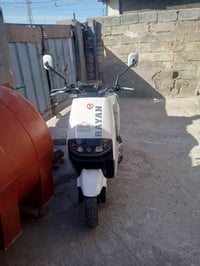 مستعجل • نظيفه • المحموديه