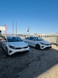 سيراتو • الزبيدية • بيع/مراوس