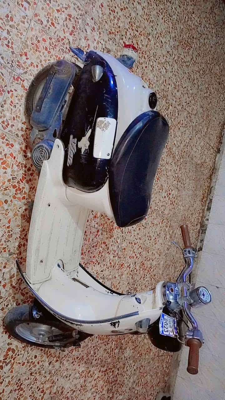 سلام عليكم مصرية للبيع شلعة معدل السعر 180 وبيها مجال قليل العنوان ناصرية مركز الرقم ***********
