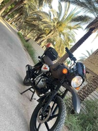 بوكسر • جبلي • موديل ٢٢