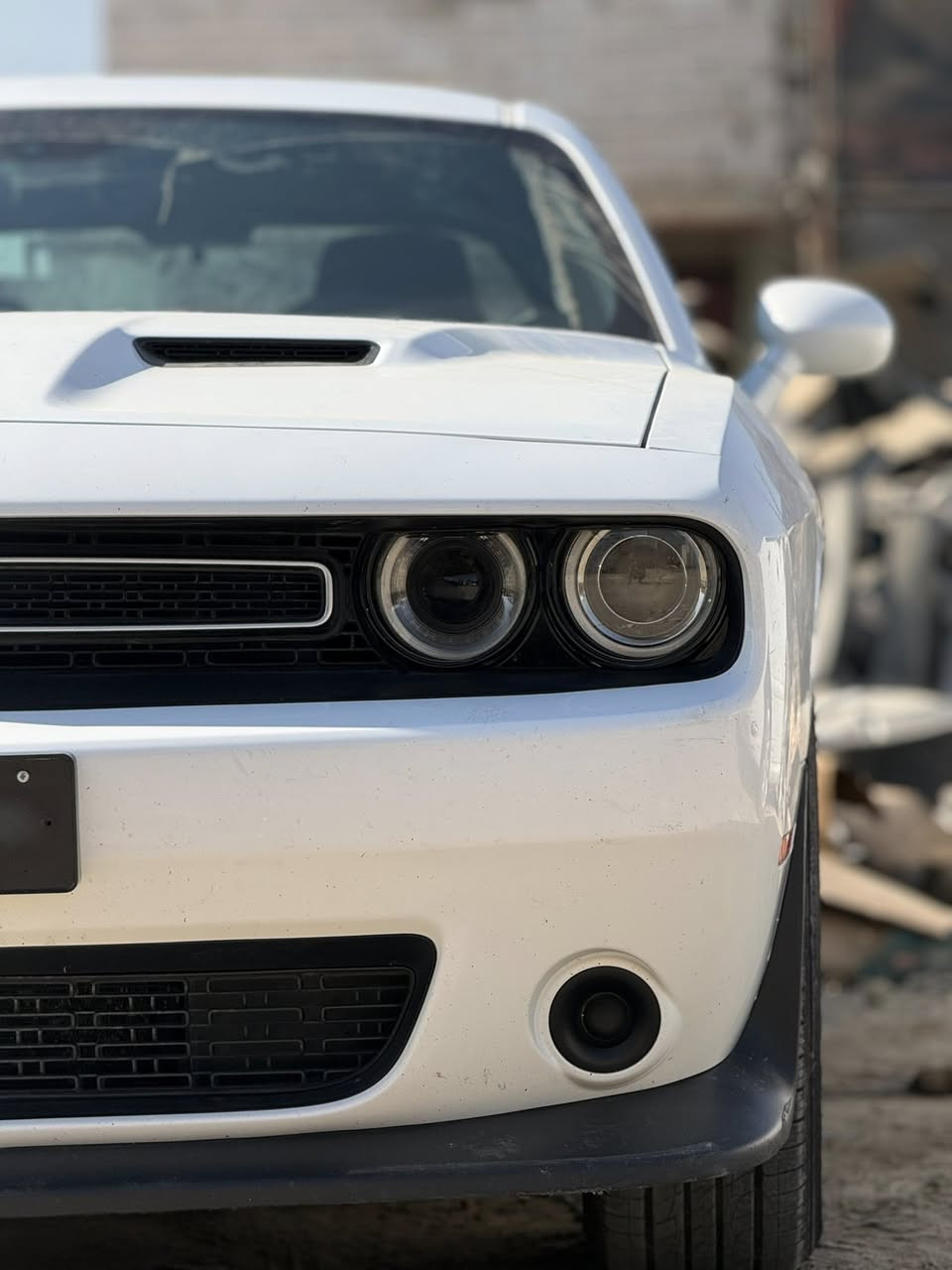 جالنجر 2015 رقم بغداد دولي بأسمي سنويه 2029 هزه جديده حادثها جاملغ تبديل وشويه طخات موضحه بالصور ماشيه 105 الف جديده بمعنى الكلمه
ايرباكات سليمه فقط البرده 
مواصفاتها :
فتحة سقف 
شفتات ستيرن 
شاشاه كبيره 
كامره خلفيه 
كشن كهرباء حضن 
السياره بيها طخات الحادث مصبوغات مأشرها بالصور
يعني صبغ صفحتين بدون شاصي وبدون لغد وبدون دواخل وبدون تبديل  السياره جاهزه من تخم تاير وحداديه وكير ومكينه كلها مكفوله ومتعوب عليها حيل 
الله شاهد ماعايزه برغي رجاءاً اخوتي بدون كسران الشراي يتصل وبخدمته 
السعر 147 وبيها مجال للشراي 
مكاني ديوانيه رقمي / *********** 

كلشي ذاكر بالمنشور وصادق بكل كلمه كلتها اذا ميعجبك السعر اترك كلمه حلوه .
