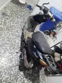 عصفورية • شغّال • بدون باتري