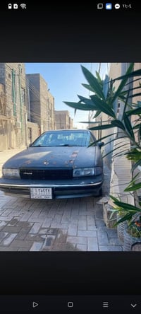 دولفين • ١٩٩١ • بالبصرة