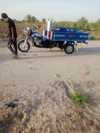 ستوته • مكفولة • موديل ١٦