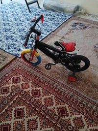 كربلاء • بسكليتين