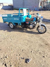 ستوته • موديل 2022 • وراق صولي