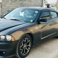 ٢٠١٤ • صبغ عام • بدون دواخل