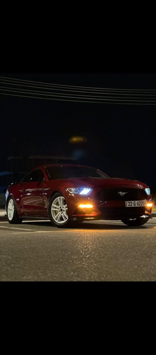 موستنك ايكو بوست 2017 حادث امريكا بنيد وجاملغ ولباب بس صبغ كير مكينه اكسل بحاله جيده   
واذا اكو مراوس جارجر من 2011 ال2014 هيمي

السعر ‼️ علق بتم يجيك السعر بالخاص ‼️

📍 مكان السياره كربلاء 

📞 رقم صاحب السيارة  ***********
