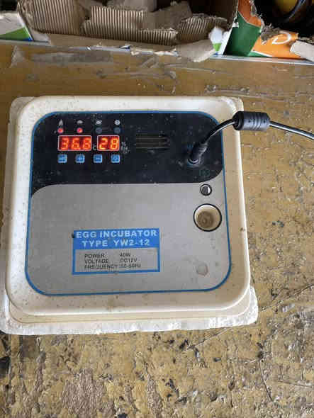 السلام عليكم فقاسه للبيع
حراره ورطوبه اوتماتيك
تقليب اوتماتيك
فلاش لفحص لبيض
سعة من20بيضه الى 15بيضه
ومجربه ولاتسحب كهرباء هواي
السعر35 
***********
