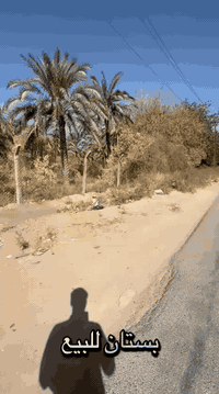 قطع أراضٍ للبيع – الدورة / منطقة البوعيثة (قرب شيخ زيون)  💰 الأسعار:  ...