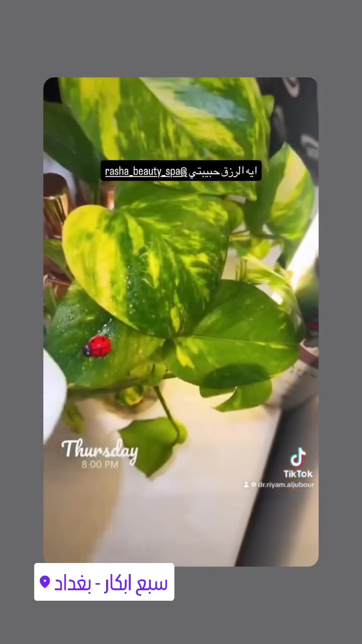 رشابيوتي صالون متكامل وتخفيضات 70٪ حف أو شمع وجه فقط ٥ الف خلال فتره العيد تنورونه
سبع ابكار فرع صيدليه شمس الربيع 
هاتف***********
