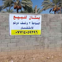 منصوريه الشط الركة • ٣٨٥٠م • مزرعة مثمرة