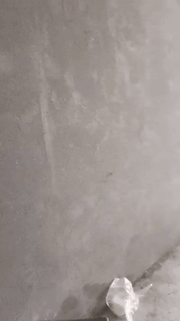 الناصريه • لبخ سمنت • جص وبورك