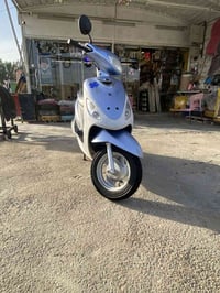 ماكس منغولي • مكفولة • ديوانية