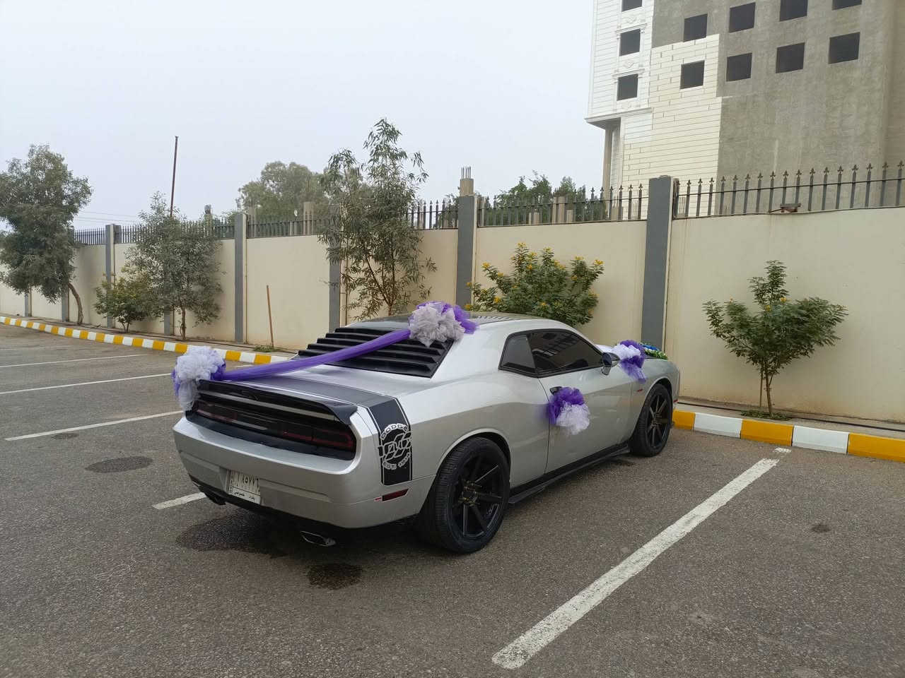 جالنجر 2012
محدث 20
Sxt 
اربع قطع صبغ
اتصل للاستفسار ***********
