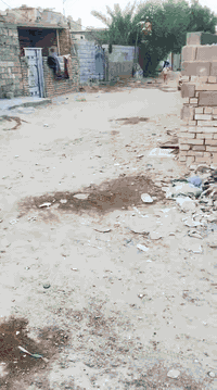 مجمع فدك المشتل • 150م • بيت جديد