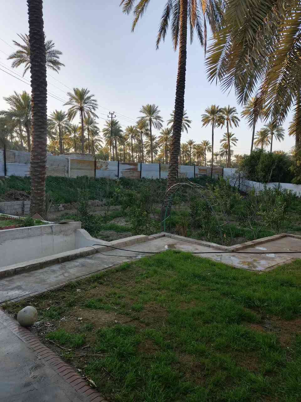 🌴 مزرعة للبيع أو المراوس 🌴
📐 المساحة: 1000 متر مربع
📍 الموقع: ركن مميز على شارعين
✨ فرصة ممتازة للاستثمار أو السكن ✨
📞 للتواص.. ***********..
