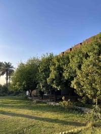 المدائن التويثه • طابو ملك • بيت ٣٥٠م