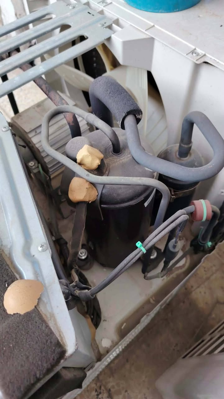 مكيف كري مثل ماشوف عينك مشتغل اربع أشهر فقط للبيع


**إذا كنت صاحب هذا الإعلان وتريد حذفه لأي سبب، رجاءا أرسل رسالة إلى الدعم الفني**