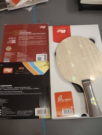 مضرب تنس الطاولة • خشبة CW-C كربون • مطاط DHS ARC 5