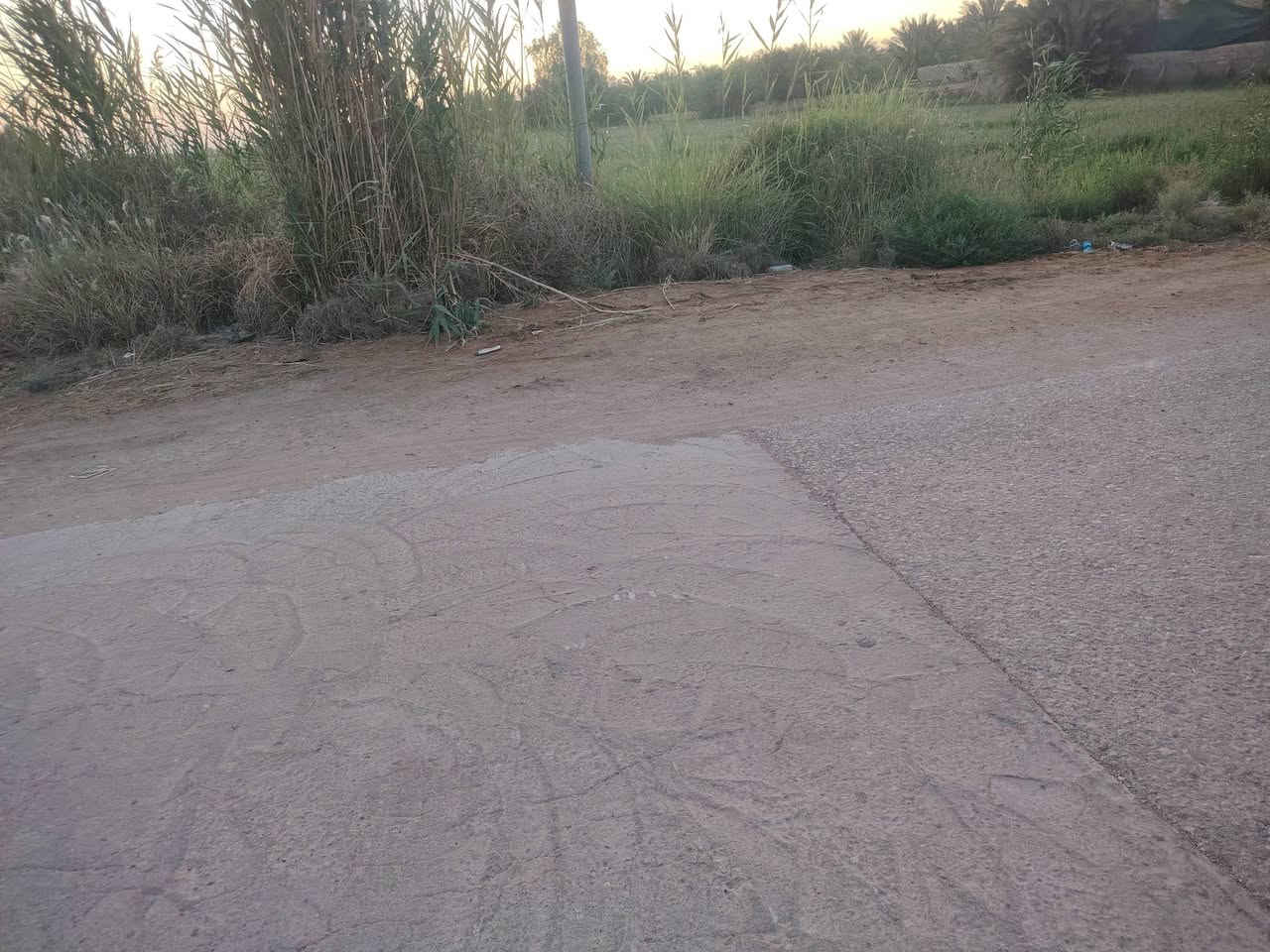 سلام عليكم ارض زراعيه سند 25 للبيع خدمات كامله المساحه 19دونم تنباع كله نصه عادي وجه عل تبليط 77متر ونزال 600 وضهر 77 ماي اساله ماي سكي مولد شارع عله طريق السنيه الدوانيه اول جسر وطب بل فرع التبليط ملأت الساده الرحمن تبعد عن شارع العام ثنين كيلو *********** //***********
