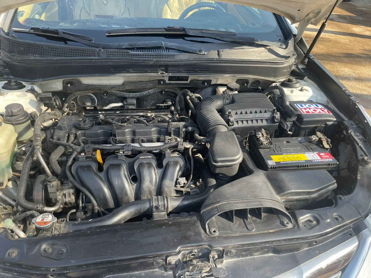 سوناتا2011خليجي ماشيه حقيقي165الف تحكم جهتين سماعات انفنتي مري شفط بيهه صبغ قطعتين وشويه بلجاملخ والباب السايق اثر دحجه بسيطه وصبغتهن على ايدي درجه أولى محرك وكير بحاله جيده منضومه تبريد كلهه جديده ويل بلادي وتخب اطارجديد والباتري هم جديد صدر جديد أذاين مال محرك جديد ادامه كامله بلكات تخم اصلي ع رقم الشاصي ادامه منضومه البانزين تراي بشرط وين ماتريد كهربائيات كلهه شغاله سياره مال جني أي نقص مابيها مكاني بغداد حي العامل رقم التلفون
***********
***********
