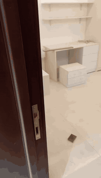 خلفة صباغ طلاس جبس شغل درجة اولى اطلع باليومية قطعي ع المتر  عنواني بغ...