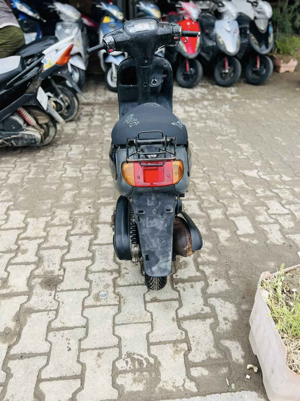 سلام عليكم شباب دراجه منغولي البيع نكره سلف كهربيات كلهه شغاله درجه نظيفه***********
