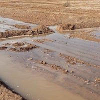 قصيبة • دونم • طابو صرف زراعي