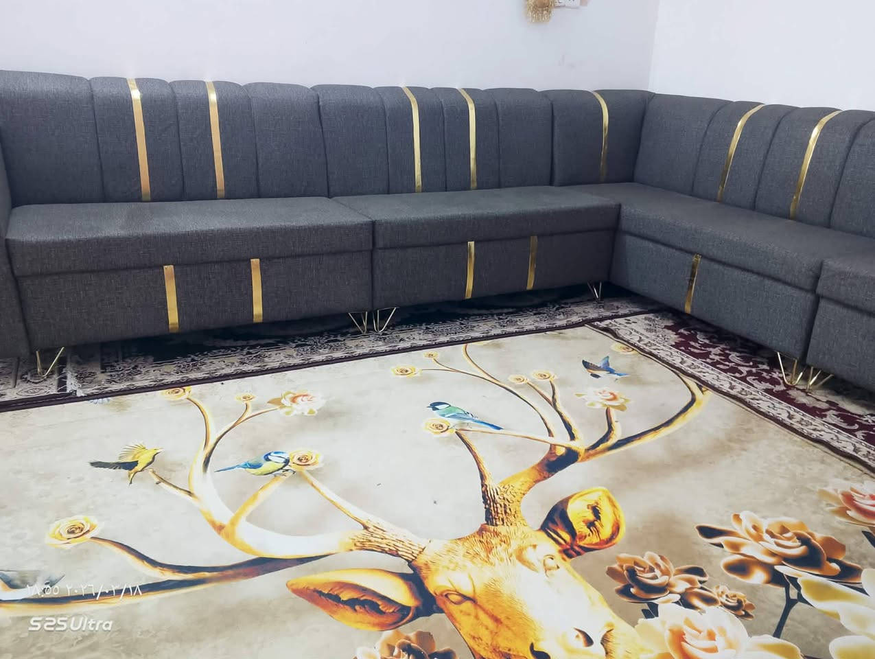 ديوان جديد شغل ثكيل عشر مقاعد سسعر 300وبي مجال لشراي  مكانه لمحاويل يوجد توصيل


**إذا كنت صاحب هذا الإعلان وتريد حذفه لأي سبب، رجاءا أرسل رسالة إلى الدعم الفني**