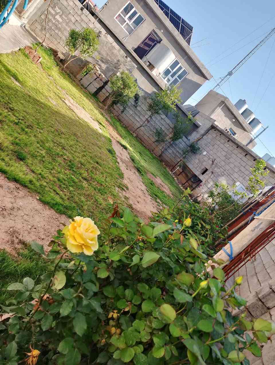 دار للبيع بناء حديث مساحته 380 م ركن 
منطقة حي النداء قريب على مدرسة زينب وثانوية الروئيا مكان مميز نوع العقار بلديه 
الاتصال 
***********
