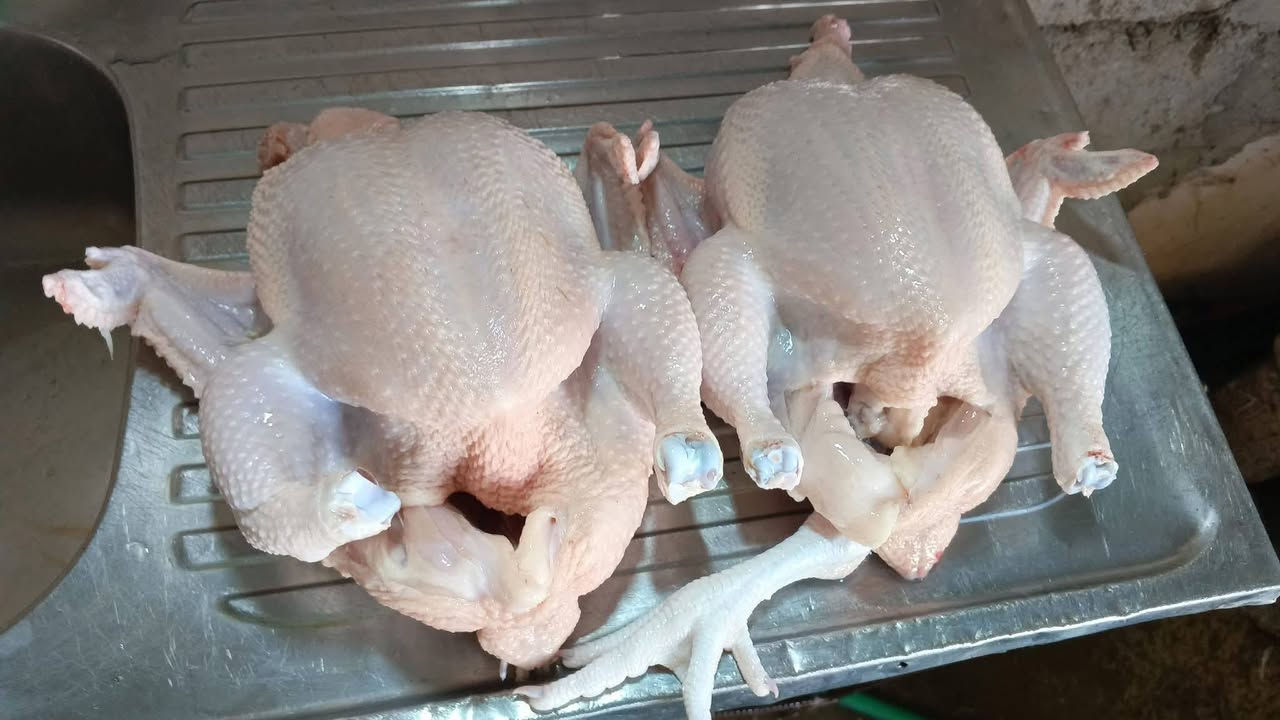 🐟🔥 عروض اليوم مسقف مصطفى التكريتي  🔥🐔
✅ سمج كاربي حي — الكيلو 6000دينار مع الشوي 
✅ دجاج حي  — الكيلو 3,500 دينار مع التنظيف والتقطيع 
✅ يوجد خدمة توصيل 
✅ المكان تكريت الديوم المحل مالتي مقابيل مول العبيدي بسد سوك الجمعه القديم ✅ هذا رقمي ***********
