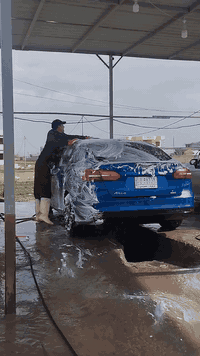 فورد فوكس 2018 للبيع او مراوس حسب القناعه الضرر بونيد وچاملغ محرك وگير شرط سنويه ل 29 شرط التحويل السعر 88$ بيها مجال ***********
***********
