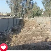 حي بابل الزراعي • 120م • سند25