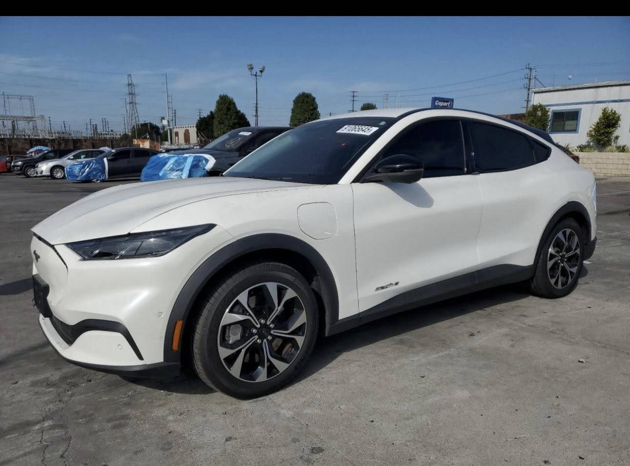 من رخصة الادمن 🌹


**إذا كنت صاحب هذا الإعلان وتريد حذفه لأي سبب، رجاءا أرسل رسالة إلى الدعم الفني**