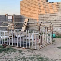 محجل كيه نثيه 2700 جديد هوه والجادر ماله موجود السعر ٢٠٠ وبي مجال قليل...